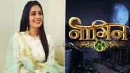 Naagin 5: Dipika Kakar Approached For The New Season of Ekta Kapoor&rsquo;s Supernatural Show? (Read Details)