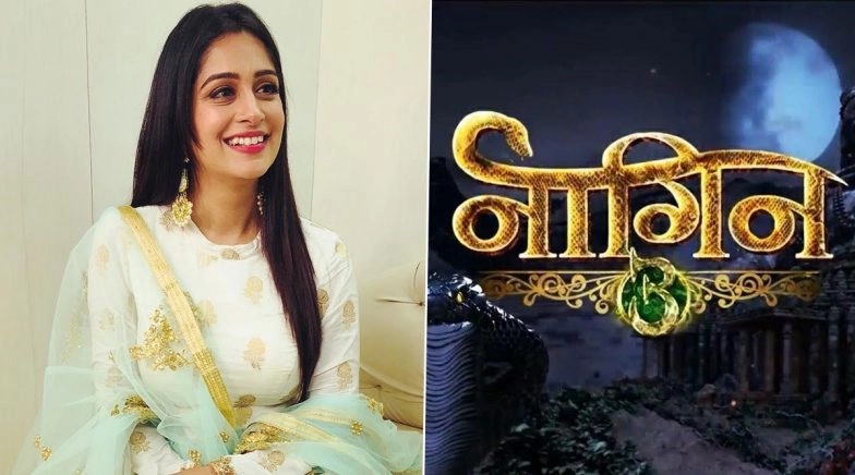 Naagin 5: Dipika Kakar Approached For Ekta Kapoor’s Venomous Show?