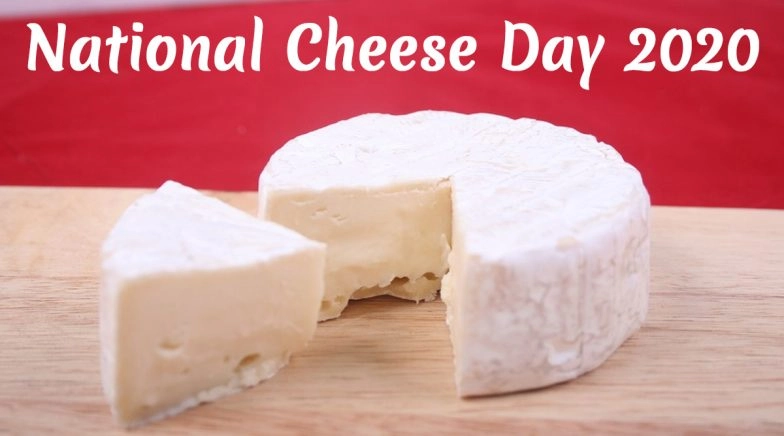 National Cheese Day (USA) 2020: Here Are Five Types of This Dairy Product You Should Eat 