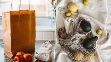 International Plastic Bag Free Day 2020: From Jute to Paper, 5 Eco-Friendly Alternatives to Plastic Bags to Adopt For a Greener Planet