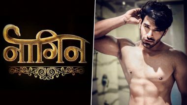 Naagin 5: Paras Chhabra Confirms Being Approached for Ekta Kapoor’s Supernatural TV Show (Deets Inside)