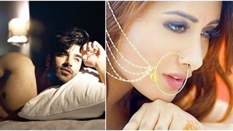 Paras Chhabra Reveals 'Mahira and I Like Each Other A Lot, But Abhi Relationship Tak Nahi Pahunche Hai'