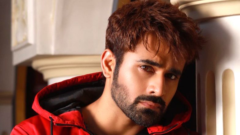 Pearl V Puri Alleged Rape Case: The Actor Sent To 14 Days Judicial Custody After Being Arrested