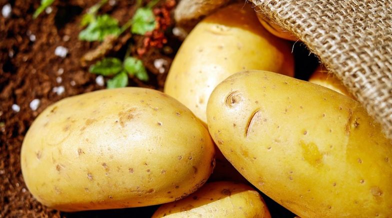 Health Benefits of Potatoes: Here Are Five Reasons to Eat This Vegetable 