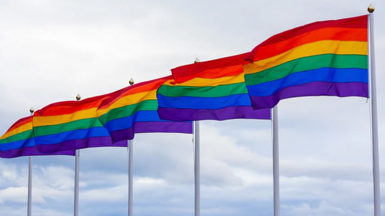 Pride Month Calendar 2020 With Full Dates: List of LGBTQ Awareness Days and Observances Held Every Year