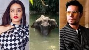 Shraddha Kapoor, Randeep Hooda And Others React To The Brutal Killing of Pregnant Elephant After Being Fed Firecracker-Laden Fruit, Urge Perpetrators To Be Punished (View Tweets)