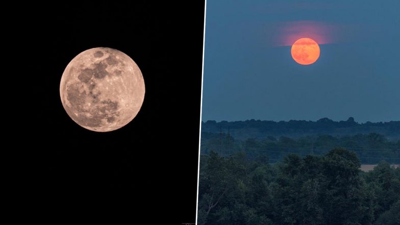 Strawberry Moon 2020 Photos: Netizens Share Beautiful Images of the Full Moon of June Before the Penumbral Lunar Eclipse Tonight