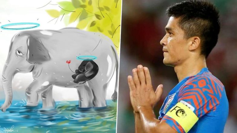 Sunil Chhetri Condemns Horrendous Death of Pregnant Elephant, Says ‘Hope Monsters Pay a Hard Price’ (See Post)
