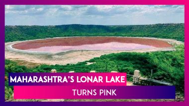 50,000-Year-Old Lonar Lake In Maharashtra’s Buldhana Turns Pink; Know What Caused This Change
