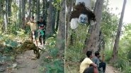 Forget Google 3D Animals, This TikTok Account is a Treasure of 3D Animation Featuring Lions, Snakes, Creepy Alien Creatures and Ghosts (Watch Creative Videos)