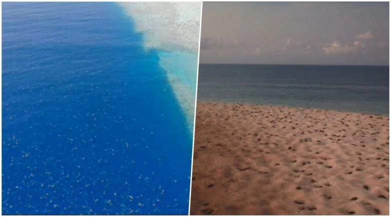 Drone Video of 64,000 Endangered Sea Turtles Near Australia's Great Barrier Reef is Incredible