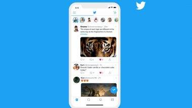 Last Day of Twitter Fleets: Twitter Shuts Down its Instagram Stories-Like 'Fleets' Platform From Today