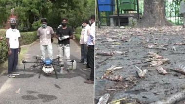 Tiddi Dal Attack in Agra: 60% Locusts Killed by Spraying Insecticides From Drones, Claims Agriculture Department; View Pics