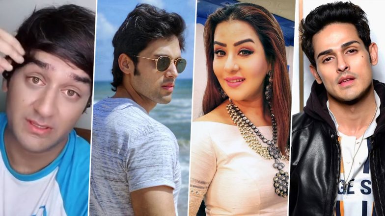 Vikas Gupta Calls Out Parth Samthaan, Shilpa Shinde and Priyank Sharma, Blames Them for Making His Life Hell Everyday (Watch Video)