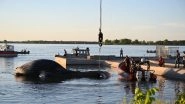 Canada: Montreal&rsquo;s Wayward Humpback Whale Died After Being Hit by Boat