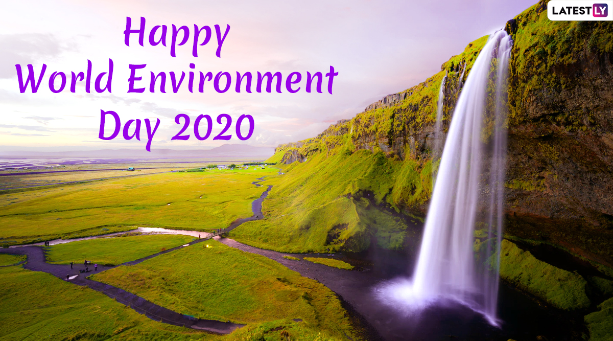 World Environment Day 2020 Date, Theme & Quotes on Nature: Know