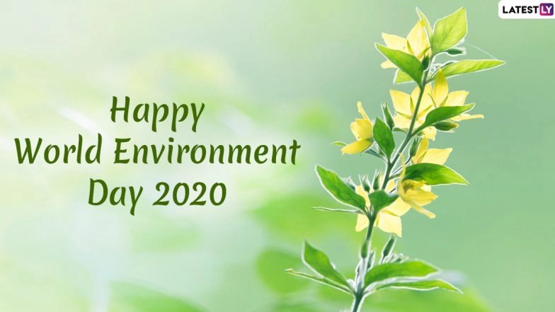 World Environment Day Images & HD Wallpapers for Free Download Online: Wish Vishwa Paryavaran Diwas 2020 With Slogans, WhatsApp Stickers and GIF Greetings on WED