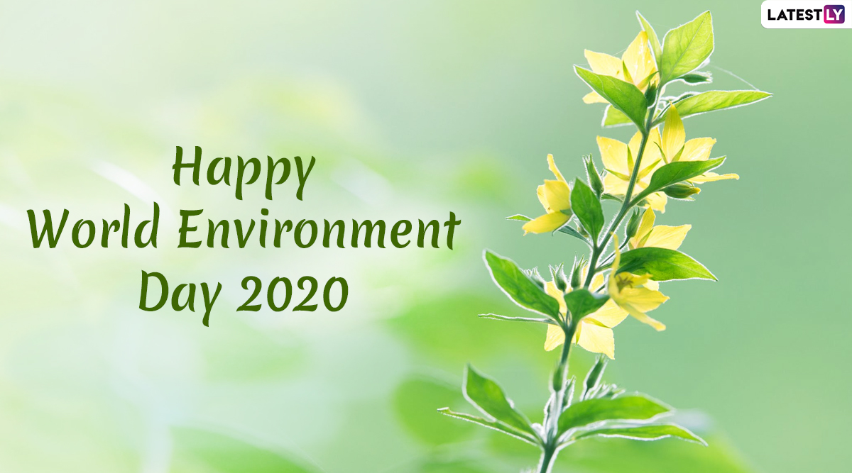 World Environment Day Images Hd Wallpapers For Free Download Online Wish Vishwa Paryavaran Diwas With Slogans Whatsapp Stickers And Gif Greetings On Wed Latestly