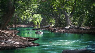 World Environment Day 2021: From a Multiday Walk Up The Mountains To a Simple Clamber Up the Hill, Here Are The Beautiful Treks In The World