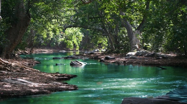  Here Are The Beautiful Treks In The World On This World Environment Day