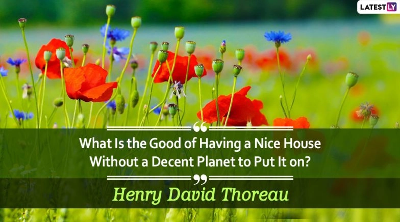 World Environment Day 2020 Quotes, HD Images, Slogans: Send These  on Vishwa Paryavaran Diwas