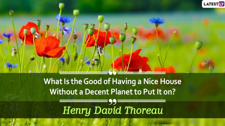 World Environment Day 2020 HD Images, Slogans & Quotes: Send These WhatsApp Stickers, SMS, Instagram Captions, Facebook Greetings and Messages on Vishwa Paryavaran Diwas
