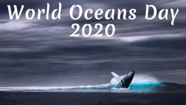 World Oceans Day 2020: From Avoiding Plastic to Joining a Beach Cleanup; 7 Things You Can Do to be a Contributor in Saving Our Oceans