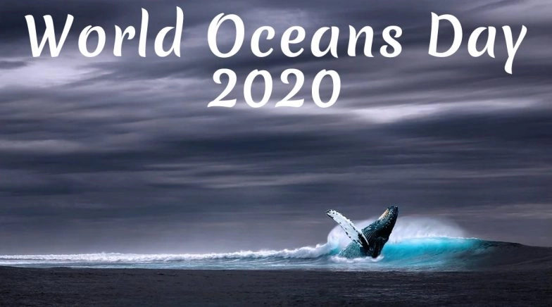 World Oceans Day 2020: Avoiding Plastic to Joining a Beach Cleanup; Things You Can Do to Save Ocean