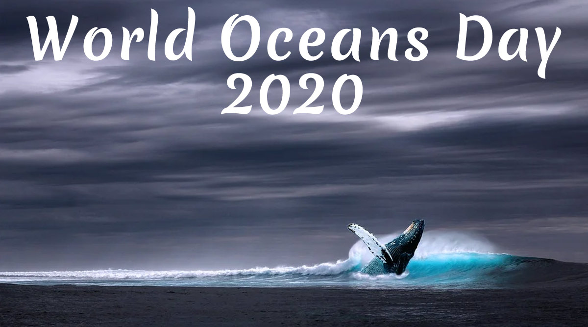 World Oceans Day 2020: From Avoiding Plastic to Joining a Beach ...