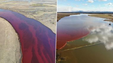 Arctic Circle Oil Spill in Russia: What Caused the Oil Spill? How Long Will It Take to Clean Up the Spill? All FAQs Answered Here (View Pics and Videos)