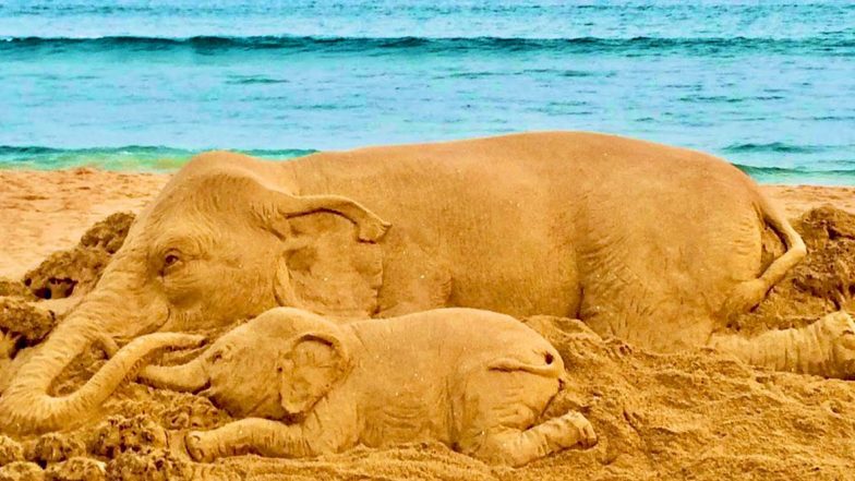 ‘Humanity Has Failed Again,’ Sudarsan Pattnaik Shares Save Elephant Sand Art Amid Saddening Death of Pregnant Elephant in Kerala (View Pic)
