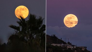 Ahead of June 5 Full Moon, View Spectacular Strawberry Moon Photos From the Past Celestial Event Captured by Sky Gazers!