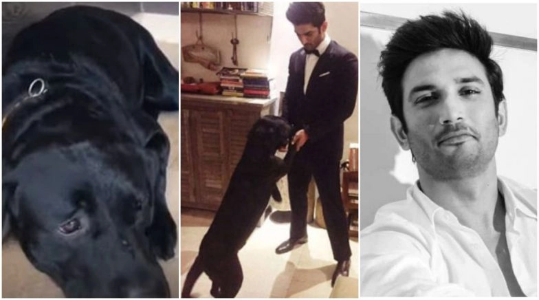This Pic of Sushant Singh Rajput’s Pet Pooch Fudge Looking at the Deceased Actor’s Photo Is Going Viral