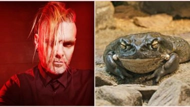 Nacho Vidal, Spanish Pornstar Arrested for Allegedly Killing Man Who Died at His Home From Inhaling Poisonous Toad Fumes