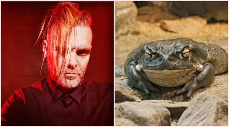 Nacho Vidal, Arrested for Allegedly Killing Man Who Died From Inhaling Poisonous Toad Fumes