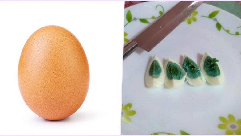 National Egg Day 2020: From the World Record Egg to Ones With Green Yolks, Egg-citing Stories About Eggs That Went Viral