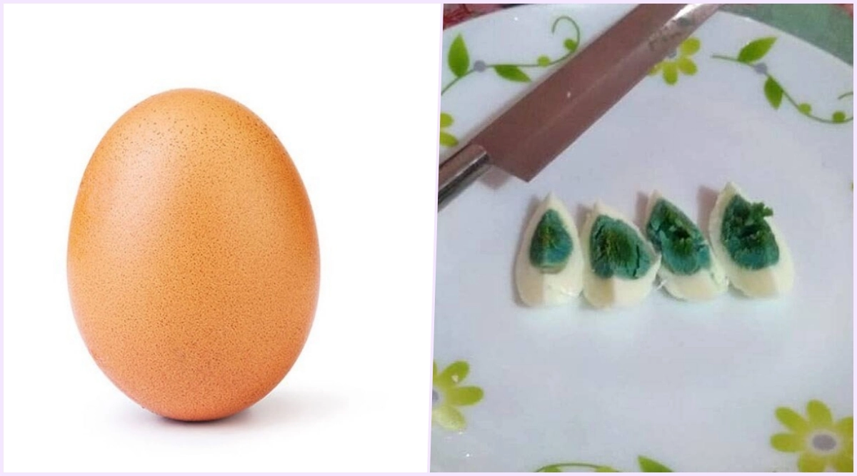 National Egg Day 2020 From the World Record Egg to Ones With Green