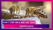 Don't Step On A Bee Day 2020: Know Significance Of Day Promoting Protection Of Bees