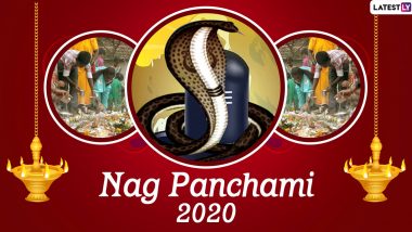 Nag Panchami 2020 HD Images and Wallpapers For Free Download Online: WhatsApp Stickers, Facebook Messages and Greetings to Celebrate the Hindu Festival of Worshipping Snakes