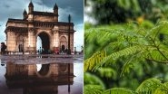 Mumbai Monsoon in Pics & Videos: 'Pakode,' 'Bhutta,' and Beautiful Rainfall View From Home, Mumbaikars Are Enjoying the Magic of Rain!