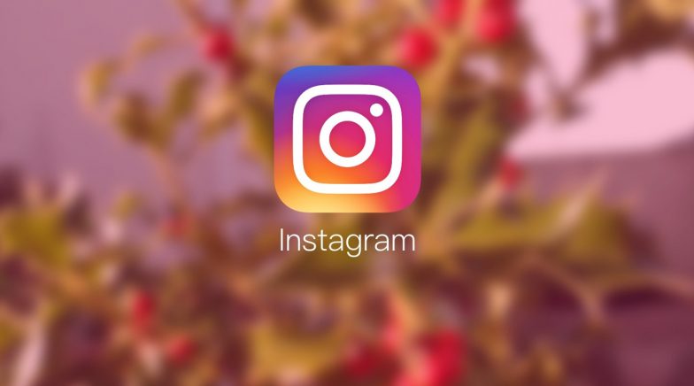 Instagram Announces New Option To Automatically Translate Text in Story Posts