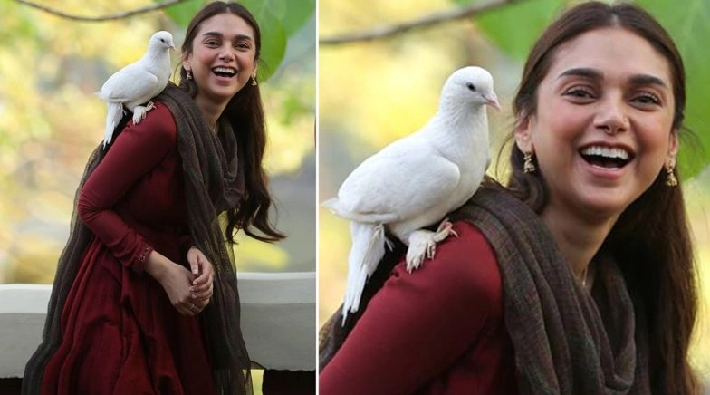 Aditi Rao Hydari on Sufiyum Sujatayum: I Felt a Very Fairytale-Like Quality in the Narrative