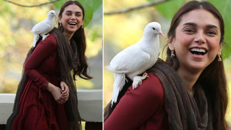 Aditi Rao Hydari on Sufiyum Sujatayum: I Felt a Very Fairytale-Like Quality in the Narrative