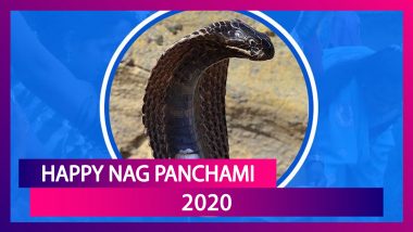 Happy Nag Panchami 2020 Greetings: WhatsApp Messages & Images to Wish on Snake-Worshipping Festival