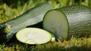 Zucchini Health Benefits: From Weight Loss to Healthy Heart, Here Are Five Reasons to Eat This Vegetable