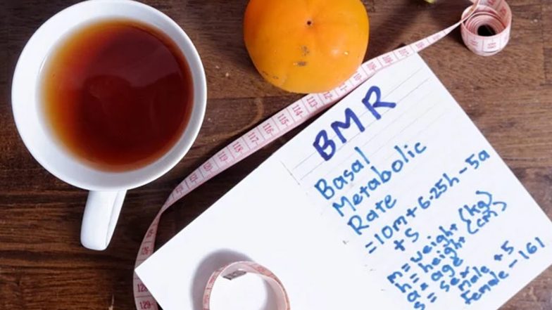 Researchers Reveal New Findings for Metabolic Rates at Different Ages of Life