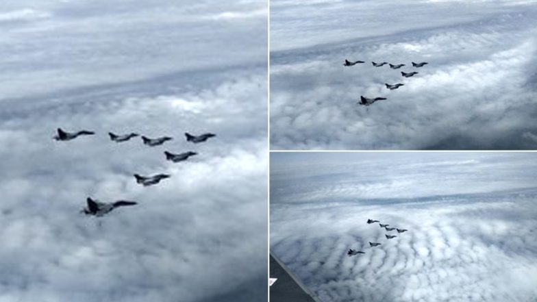 Rafale Fighter Jets Arrive in India: Aircraft to be Part of Ambala-Based 'Golden Arrows'; Know About 17 Squadron of IAF