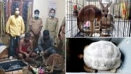 Assam Forest Officials Seize Illegal Consignment of Exotic Animals in Silchar, Rescue Kangaroo, 6 Macaw Parrots, 3 Tortoises