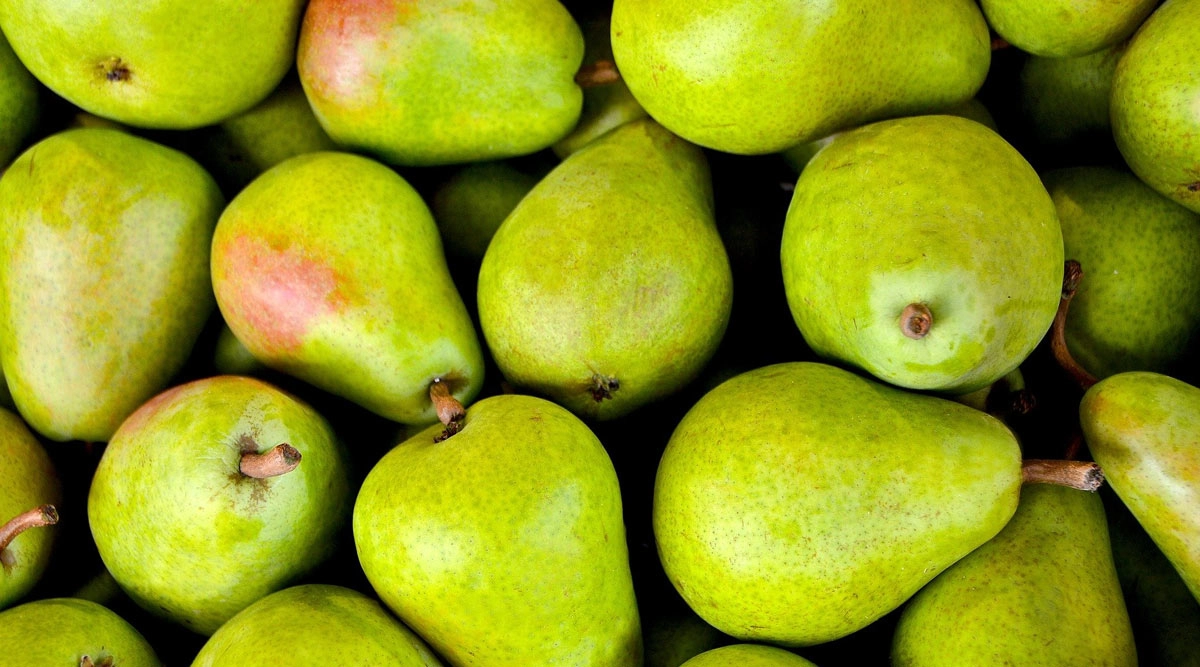Health & Wellness News Pears (Nashpati) Health Benefits Here Are