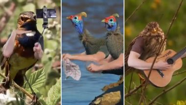 What if Birds Had Arms? Twitter User’s Creative Imagination in Bizarre Photoshopped Video Is Side-Splitting, Netizens Can’t Stop ROFLing!